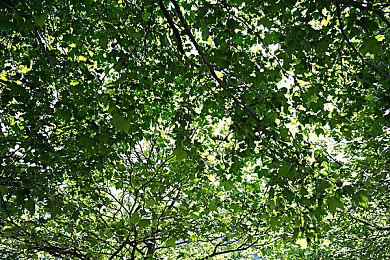 《出租生涯：城市驾驶模拟器》实机预告 3月7日发售